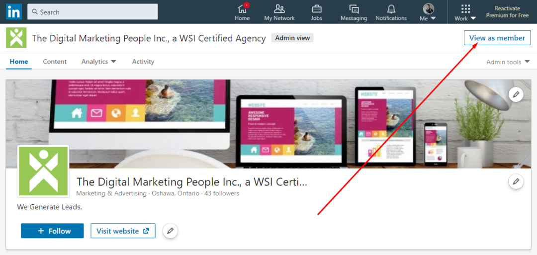 LinkedIn View As Member