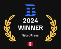 2024 Wordpress Award